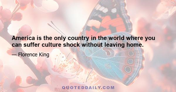 America is the only country in the world where you can suffer culture shock without leaving home.