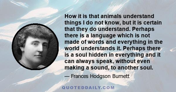 How it is that animals understand things I do not know, but it is certain that they do understand. Perhaps there is a language which is not made of words and everything in the world understands it. Perhaps there is a