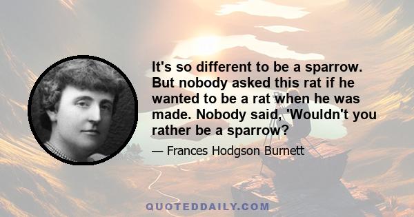 It's so different to be a sparrow. But nobody asked this rat if he wanted to be a rat when he was made. Nobody said, 'Wouldn't you rather be a sparrow?