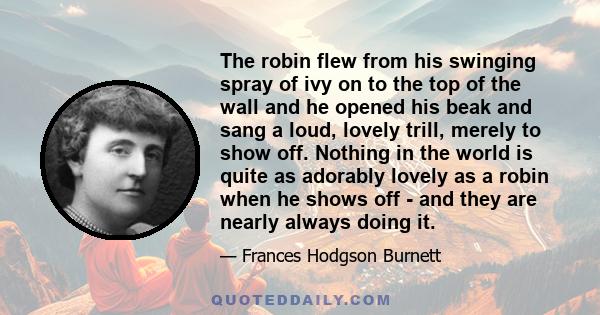 The robin flew from his swinging spray of ivy on to the top of the wall and he opened his beak and sang a loud, lovely trill, merely to show off. Nothing in the world is quite as adorably lovely as a robin when he shows 