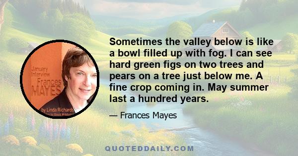 Sometimes the valley below is like a bowl filled up with fog. I can see hard green figs on two trees and pears on a tree just below me. A fine crop coming in. May summer last a hundred years.