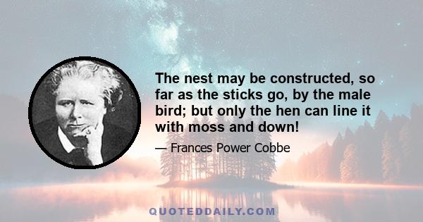 The nest may be constructed, so far as the sticks go, by the male bird; but only the hen can line it with moss and down!