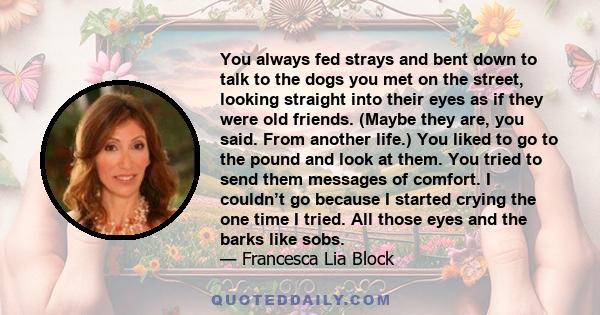 You always fed strays and bent down to talk to the dogs you met on the street, looking straight into their eyes as if they were old friends. (Maybe they are, you said. From another life.) You liked to go to the pound