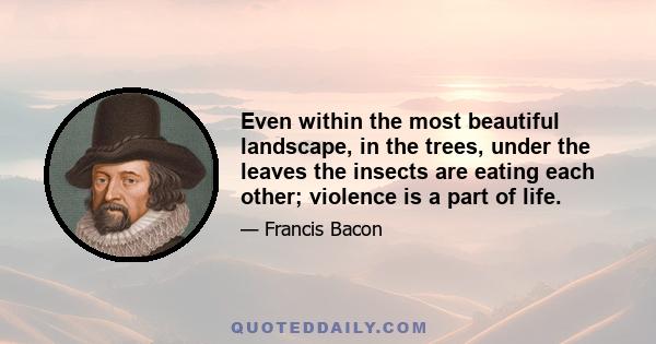 Even within the most beautiful landscape, in the trees, under the leaves the insects are eating each other; violence is a part of life.