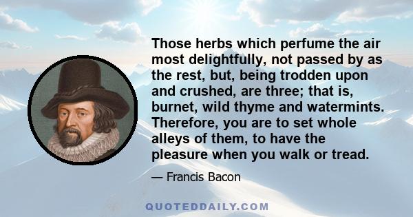 Those herbs which perfume the air most delightfully, not passed by as the rest, but, being trodden upon and crushed, are three; that is, burnet, wild thyme and watermints. Therefore, you are to set whole alleys of them, 