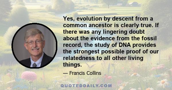 Yes, evolution by descent from a common ancestor is clearly true. If there was any lingering doubt about the evidence from the fossil record, the study of DNA provides the strongest possible proof of our relatedness to