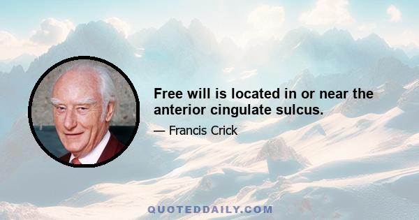 Free will is located in or near the anterior cingulate sulcus.