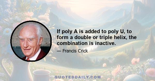 If poly A is added to poly U, to form a double or triple helix, the combination is inactive.