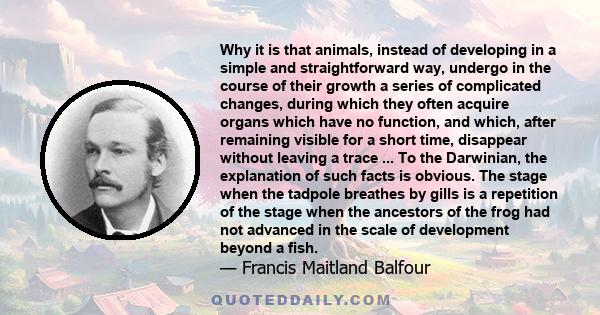 Why it is that animals, instead of developing in a simple and straightforward way, undergo in the course of their growth a series of complicated changes, during which they often acquire organs which have no function,