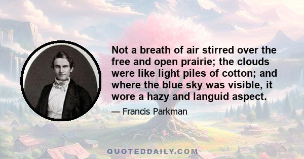 Not a breath of air stirred over the free and open prairie; the clouds were like light piles of cotton; and where the blue sky was visible, it wore a hazy and languid aspect.