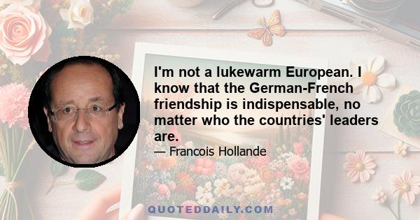 I'm not a lukewarm European. I know that the German-French friendship is indispensable, no matter who the countries' leaders are.