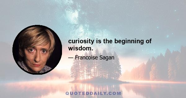 curiosity is the beginning of wisdom.