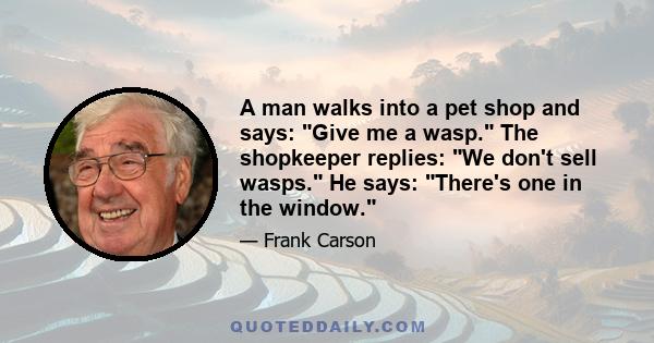 A man walks into a pet shop and says: Give me a wasp. The shopkeeper replies: We don't sell wasps. He says: There's one in the window.