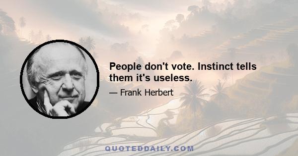 People don't vote. Instinct tells them it's useless.