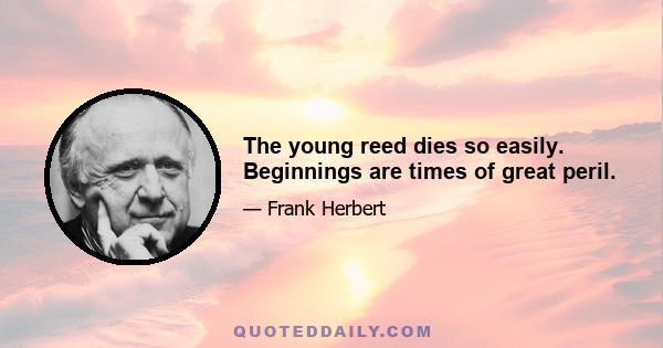 The young reed dies so easily. Beginnings are times of great peril.