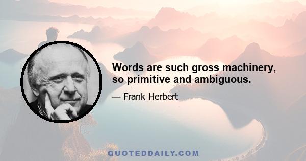 Words are such gross machinery, so primitive and ambiguous.