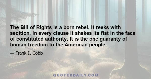 The Bill of Rights is a born rebel. It reeks with sedition. In every clause it shakes its fist in the face of constituted authority. It is the one guaranty of human freedom to the American people.