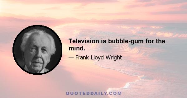 Television is bubble-gum for the mind.