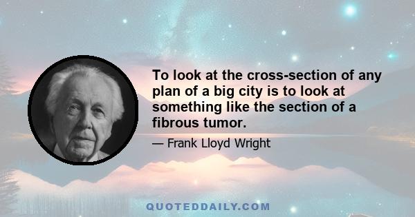 To look at the cross-section of any plan of a big city is to look at something like the section of a fibrous tumor.