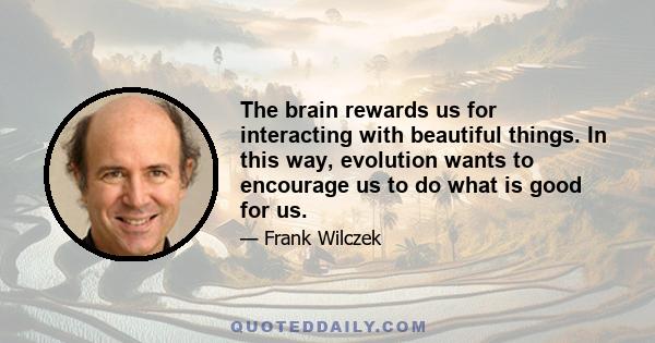 The brain rewards us for interacting with beautiful things. In this way, evolution wants to encourage us to do what is good for us.