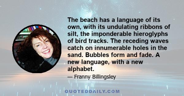 The beach has a language of its own, with its undulating ribbons of silt, the imponderable hieroglyphs of bird tracks. The receding waves catch on innumerable holes in the sand. Bubbles form and fade. A new language,