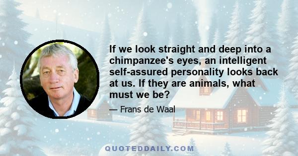 If we look straight and deep into a chimpanzee's eyes, an intelligent self-assured personality looks back at us. If they are animals, what must we be?