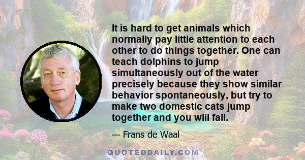 It is hard to get animals which normally pay little attention to each other to do things together. One can teach dolphins to jump simultaneously out of the water precisely because they show similar behavior