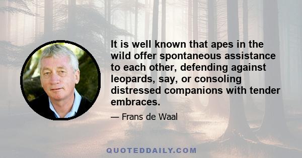 It is well known that apes in the wild offer spontaneous assistance to each other, defending against leopards, say, or consoling distressed companions with tender embraces.