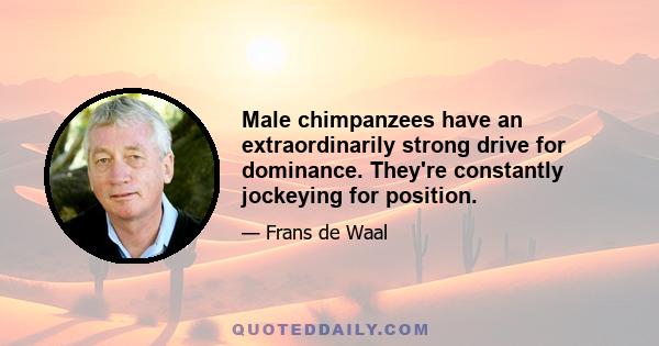 Male chimpanzees have an extraordinarily strong drive for dominance. They're constantly jockeying for position.