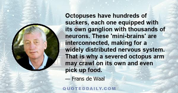 Octopuses have hundreds of suckers, each one equipped with its own ganglion with thousands of neurons. These 'mini-brains' are interconnected, making for a widely distributed nervous system. That is why a severed