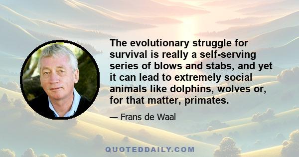 The evolutionary struggle for survival is really a self-serving series of blows and stabs, and yet it can lead to extremely social animals like dolphins, wolves or, for that matter, primates.