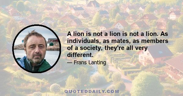 A lion is not a lion is not a lion. As individuals, as mates, as members of a society, they're all very different.