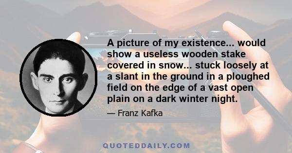 A picture of my existence... would show a useless wooden stake covered in snow... stuck loosely at a slant in the ground in a ploughed field on the edge of a vast open plain on a dark winter night.