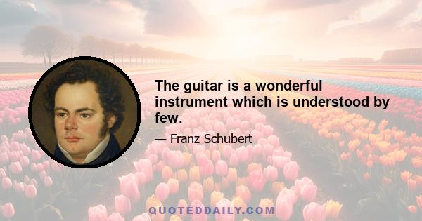 The guitar is a wonderful instrument which is understood by few.