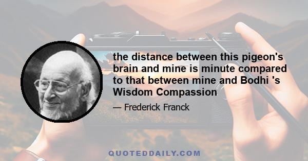 the distance between this pigeon's brain and mine is minute compared to that between mine and Bodhi 's Wisdom Compassion