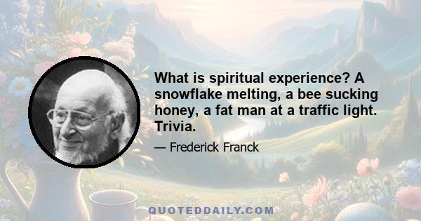 What is spiritual experience? A snowflake melting, a bee sucking honey, a fat man at a traffic light. Trivia.