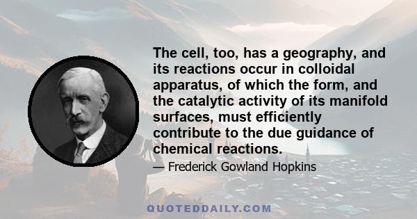 The cell, too, has a geography, and its reactions occur in colloidal apparatus, of which the form, and the catalytic activity of its manifold surfaces, must efficiently contribute to the due guidance of chemical