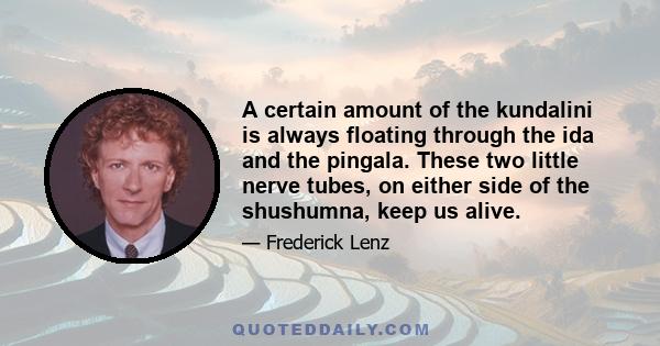 A certain amount of the kundalini is always floating through the ida and the pingala. These two little nerve tubes, on either side of the shushumna, keep us alive.