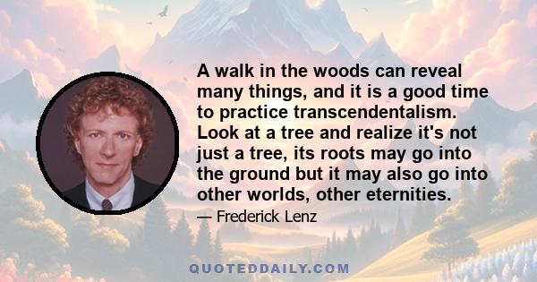 A walk in the woods can reveal many things, and it is a good time to practice transcendentalism. Look at a tree and realize it's not just a tree, its roots may go into the ground but it may also go into other worlds,