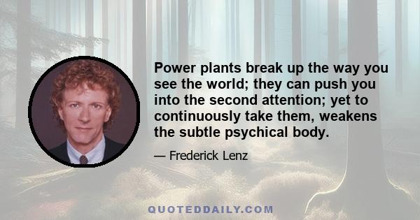 Power plants break up the way you see the world; they can push you into the second attention; yet to continuously take them, weakens the subtle psychical body.