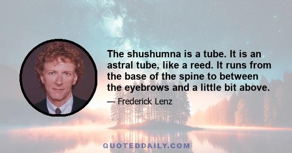 The shushumna is a tube. It is an astral tube, like a reed. It runs from the base of the spine to between the eyebrows and a little bit above.