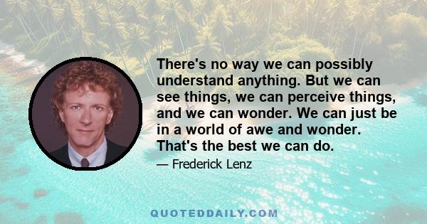 There's no way we can possibly understand anything. But we can see things, we can perceive things, and we can wonder. We can just be in a world of awe and wonder. That's the best we can do.