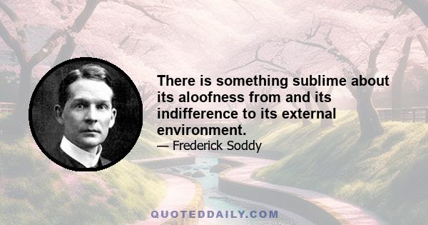 There is something sublime about its aloofness from and its indifference to its external environment.