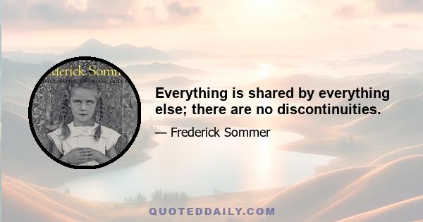 Everything is shared by everything else; there are no discontinuities.