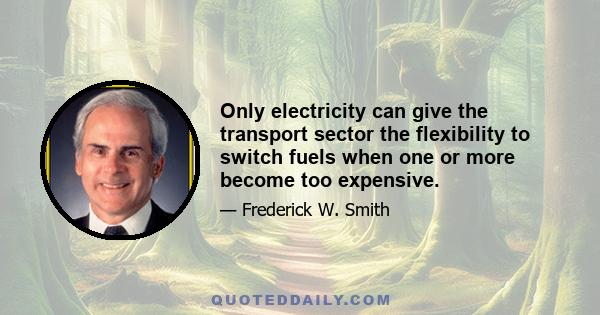 Only electricity can give the transport sector the flexibility to switch fuels when one or more become too expensive.