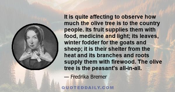 It is quite affecting to observe how much the olive tree is to the country people. Its fruit supplies them with food, medicine and light; its leaves, winter fodder for the goats and sheep; it is their shelter from the