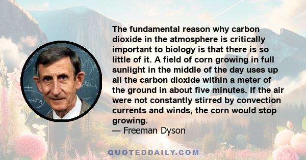 The fundamental reason why carbon dioxide in the atmosphere is critically important to biology is that there is so little of it. A field of corn growing in full sunlight in the middle of the day uses up all the carbon