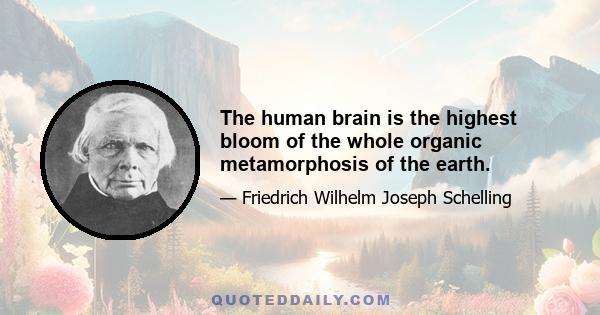 The human brain is the highest bloom of the whole organic metamorphosis of the earth.