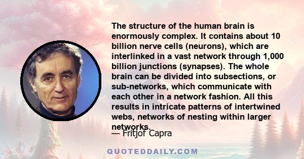 The structure of the human brain is enormously complex. It contains about 10 billion nerve cells (neurons), which are interlinked in a vast network through 1,000 billion junctions (synapses). The whole brain can be