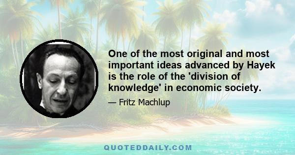 One of the most original and most important ideas advanced by Hayek is the role of the 'division of knowledge' in economic society.